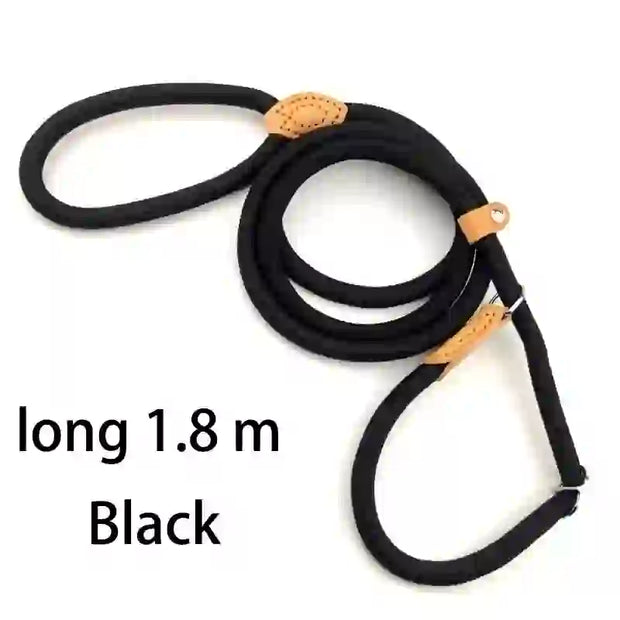 dog accessories cat collar and lead
