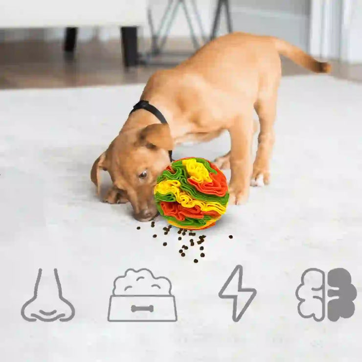 interactive treat puzzle for large dogs at home
