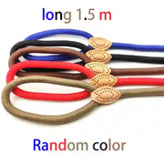 dog accessories cat collar and lead

