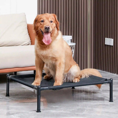 best foldable elevated dog bed
