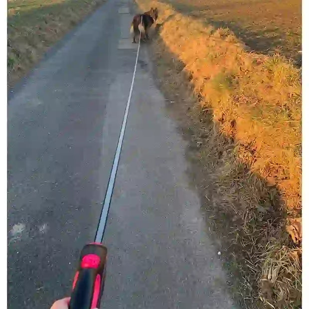 best rope leash for large dogs
