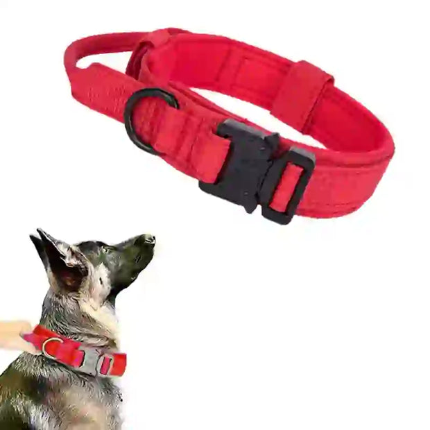 durable tactical dog collar leash set smart